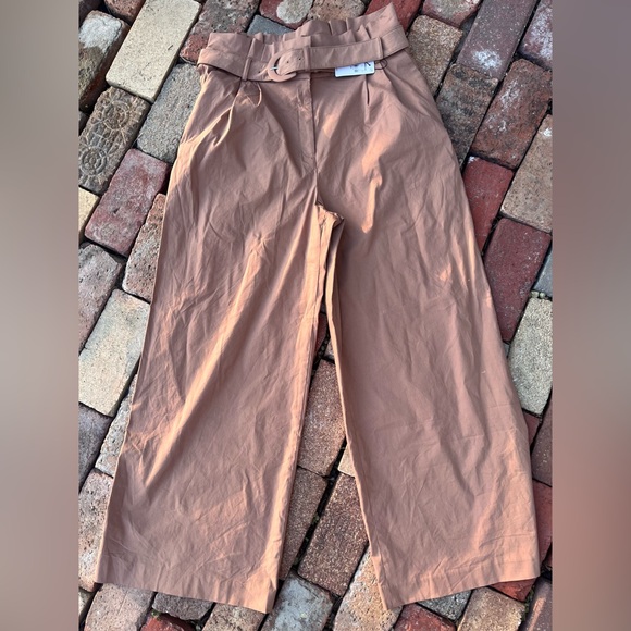 Express Pants - Express Women's Tan Wide-Leg Pants Sz 12s